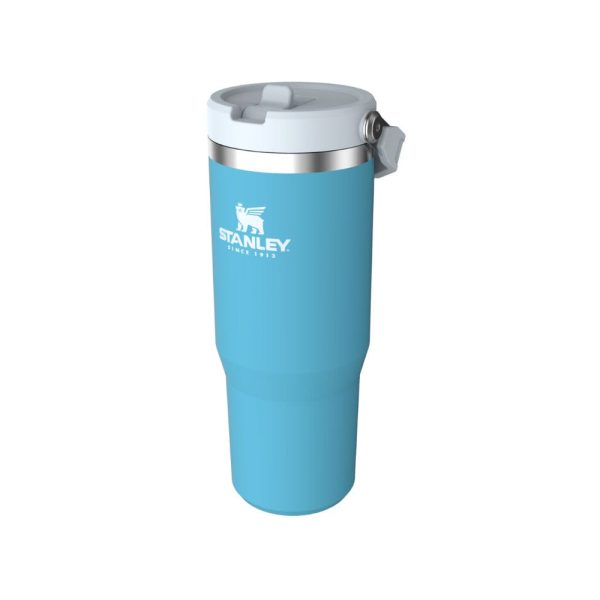 https://www.campmosdr.shop/wp-content/uploads/1695/57/the-online-shop-for-stanley-iceflow-flip-straw-tumbler-30-oz-is-your-best-choice_0-600x600.jpg